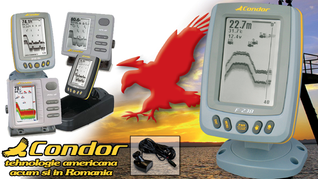 condor