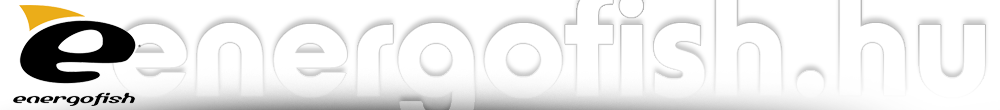 banner blanc 2