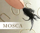 Mosca